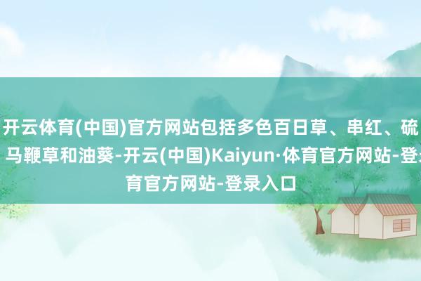 开云体育(中国)官方网站包括多色百日草、串红、硫化菊、马鞭草和油葵-开云(中国)Kaiyun·体育官方网站-登录入口