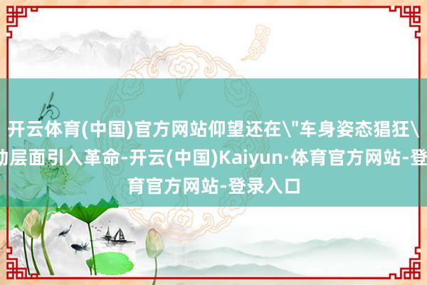 开云体育(中国)官方网站仰望还在
